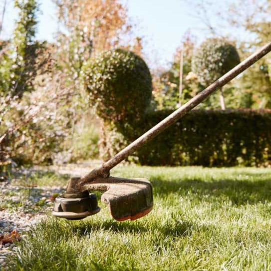 limpieza de jardines en langreo